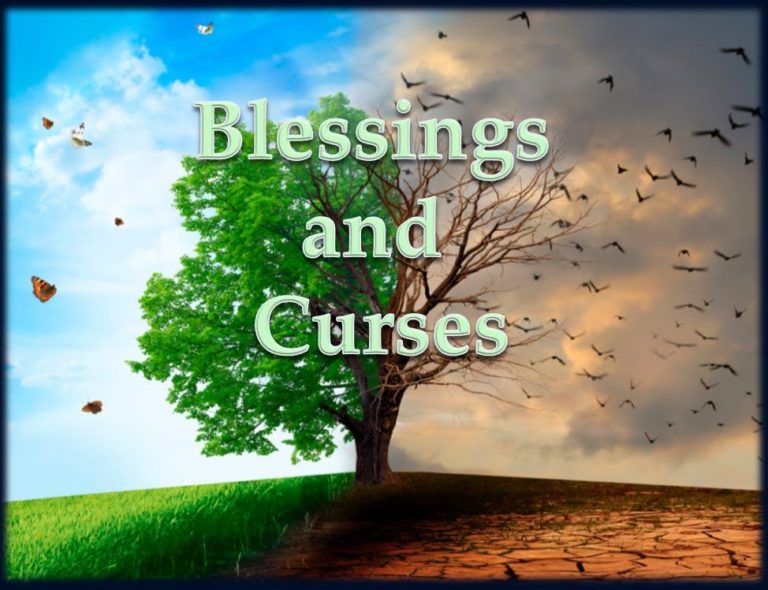 Understanding the Blessing and Curses of Deuteronomy 27-28: Deuteronomy ...